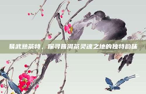 易武熟茶特，探寻普洱茶灵魂之地的独特韵味