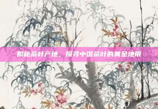 揭秘茶叶产地，探寻中国茶叶的黄金地带