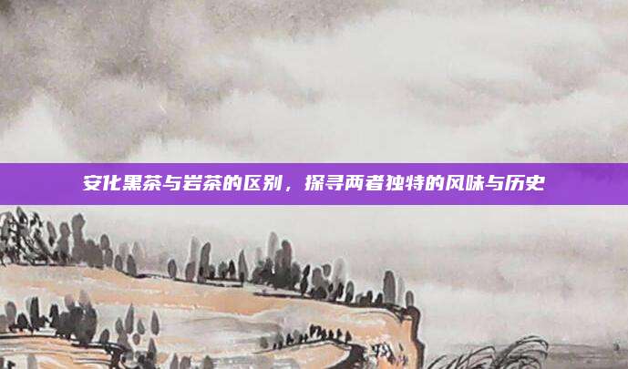 安化黑茶与岩茶的区别，探寻两者独特的风味与历史