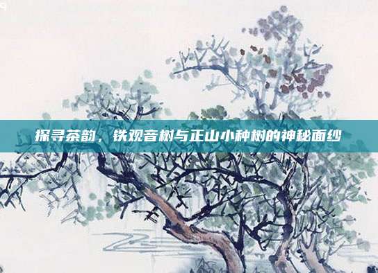 探寻茶韵，铁观音树与正山小种树的神秘面纱