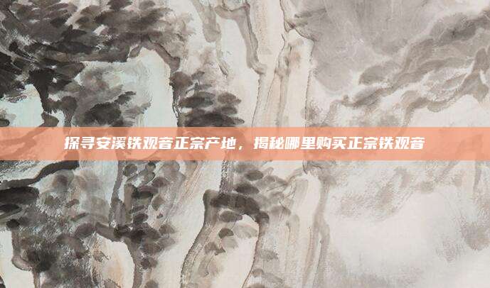 探寻安溪铁观音正宗产地，揭秘哪里购买正宗铁观音