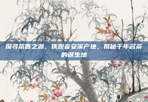 探寻茶香之源，铁观音安溪产地，揭秘千年名茶的诞生地