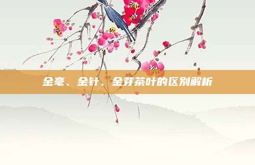 金毫、金针、金芽茶叶的区别解析