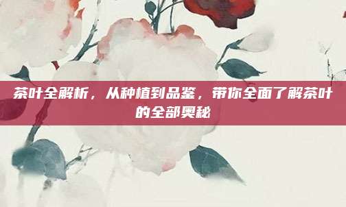 茶叶全解析，从种植到品鉴，带你全面了解茶叶的全部奥秘
