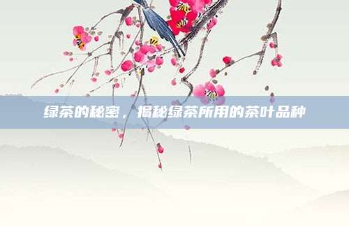 绿茶的秘密，揭秘绿茶所用的茶叶品种