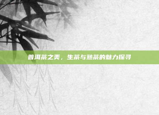 普洱茶之美，生茶与熟茶的魅力探寻