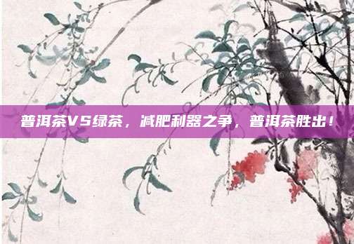 普洱茶VS绿茶，减肥利器之争，普洱茶胜出！