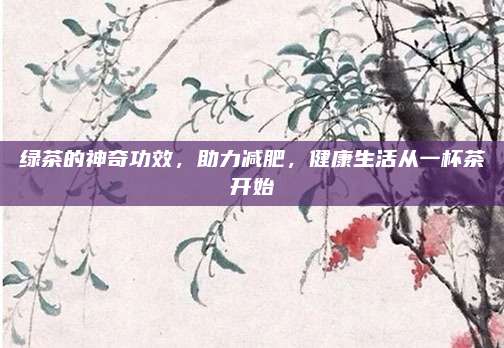 绿茶的神奇功效，助力减肥，健康生活从一杯茶开始