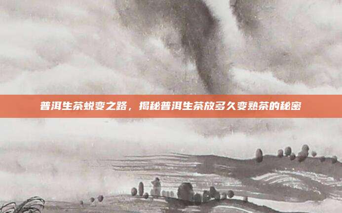 普洱生茶蜕变之路，揭秘普洱生茶放多久变熟茶的秘密