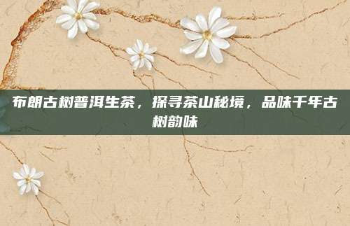 布朗古树普洱生茶，探寻茶山秘境，品味千年古树韵味