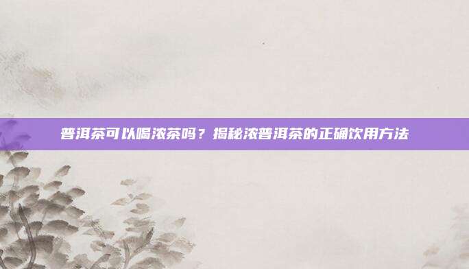 普洱茶可以喝浓茶吗？揭秘浓普洱茶的正确饮用方法