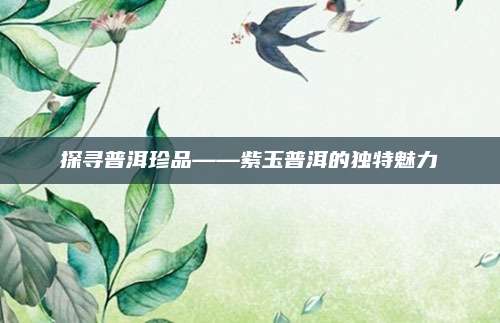 探寻普洱珍品——紫玉普洱的独特魅力