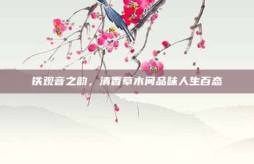 铁观音之韵，清香草木间品味人生百态