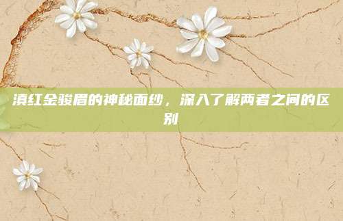 滇红金骏眉的神秘面纱，深入了解两者之间的区别