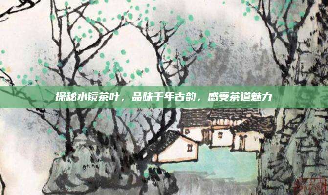 探秘水镜茶叶，品味千年古韵，感受茶道魅力