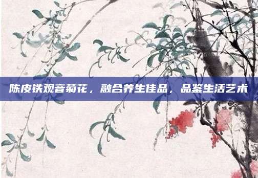 陈皮铁观音菊花，融合养生佳品，品鉴生活艺术