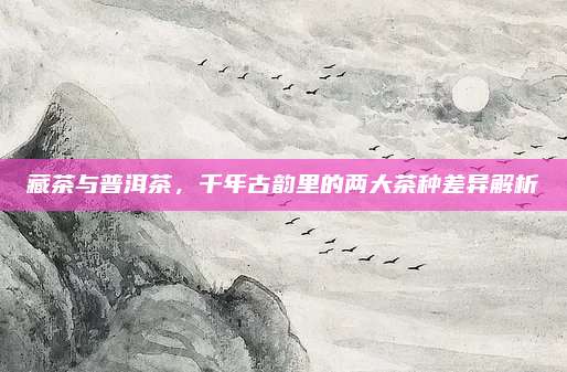 藏茶与普洱茶，千年古韵里的两大茶种差异解析