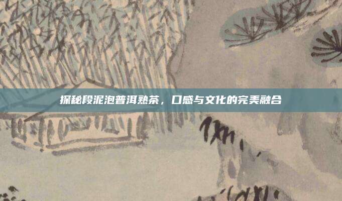 探秘段泥泡普洱熟茶，口感与文化的完美融合