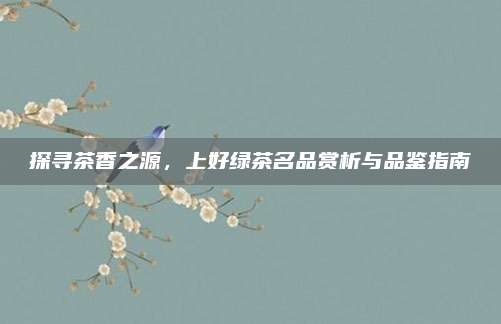 探寻茶香之源，上好绿茶名品赏析与品鉴指南