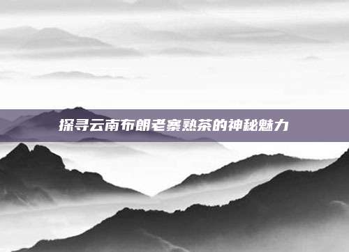 探寻云南布朗老寨熟茶的神秘魅力