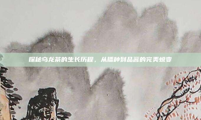 探秘乌龙茶的生长历程，从播种到品茗的完美蜕变