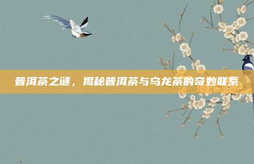 普洱茶之谜，揭秘普洱茶与乌龙茶的奇妙联系