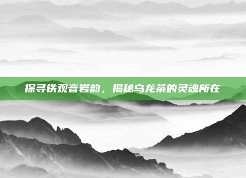 探寻铁观音岩韵，揭秘乌龙茶的灵魂所在