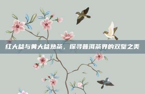 红大益与黄大益熟茶，探寻普洱茶界的双璧之美