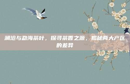 澜沧与勐海茶叶，探寻茶香之源，揭秘两大产区的差异