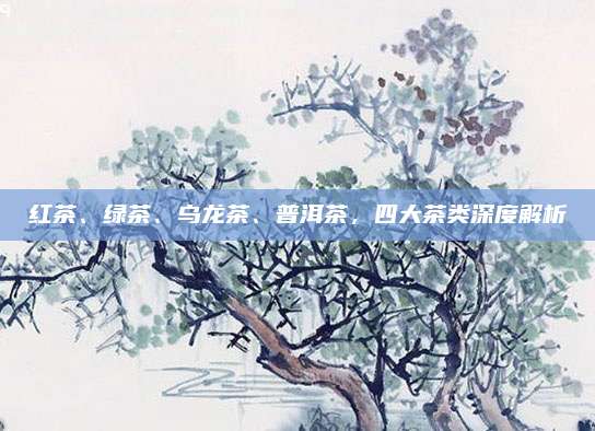 红茶、绿茶、乌龙茶、普洱茶，四大茶类深度解析