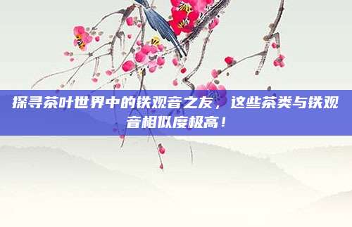 探寻茶叶世界中的铁观音之友，这些茶类与铁观音相似度极高！