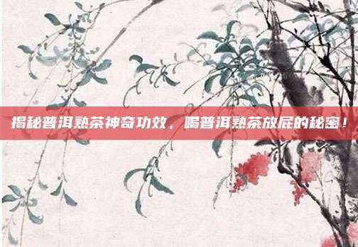 揭秘普洱熟茶神奇功效，喝普洱熟茶放屁的秘密！