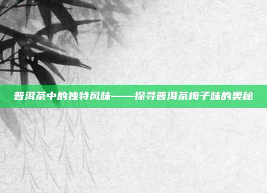 普洱茶中的独特风味——探寻普洱茶梅子味的奥秘