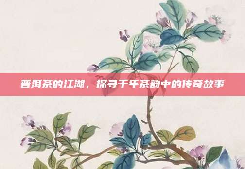 普洱茶的江湖，探寻千年茶韵中的传奇故事