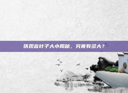 铁观音叶子大小揭秘，究竟有多大？