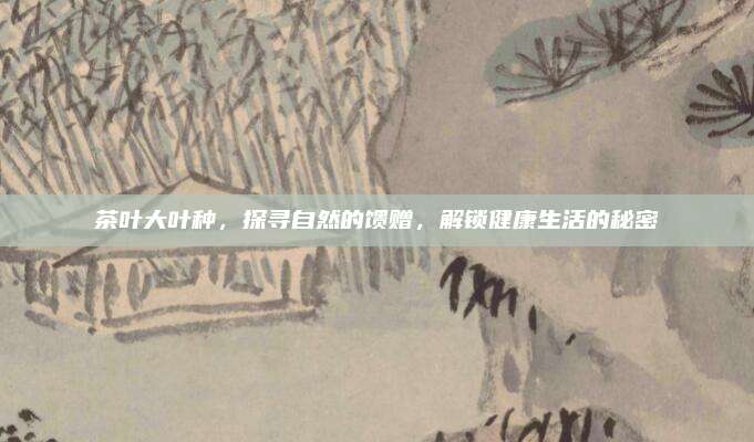 茶叶大叶种，探寻自然的馈赠，解锁健康生活的秘密
