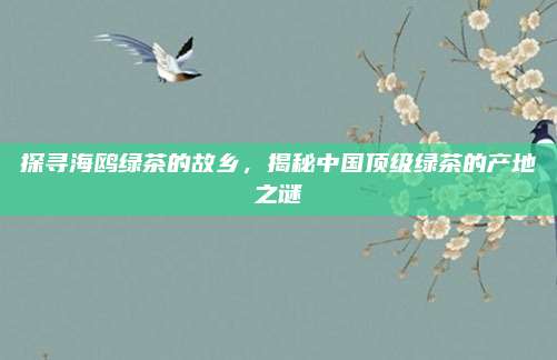 探寻海鸥绿茶的故乡，揭秘中国顶级绿茶的产地之谜