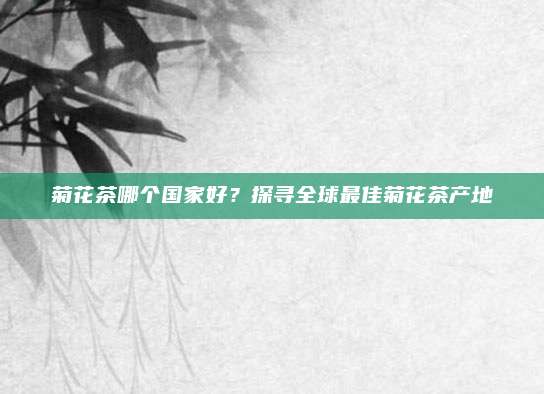 菊花茶哪个国家好？探寻全球最佳菊花茶产地