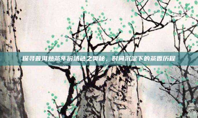 探寻普洱熟茶年份汤色之奥秘，时间沉淀下的茶香历程