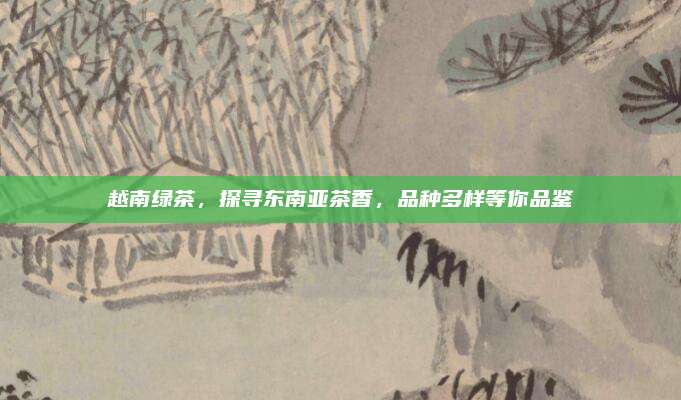 越南绿茶，探寻东南亚茶香，品种多样等你品鉴