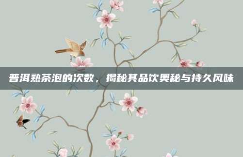 普洱熟茶泡的次数，揭秘其品饮奥秘与持久风味