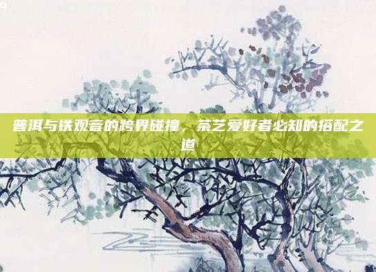 普洱与铁观音的跨界碰撞，茶艺爱好者必知的搭配之道