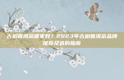 古树普洱茶哪家好？2023年古树普洱茶品牌推荐及选购指南