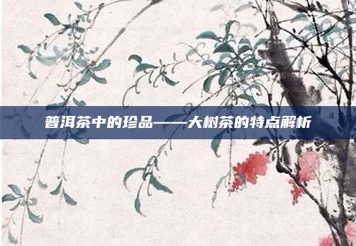 普洱茶中的珍品——大树茶的特点解析