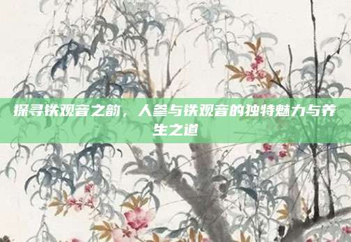 探寻铁观音之韵，人参与铁观音的独特魅力与养生之道