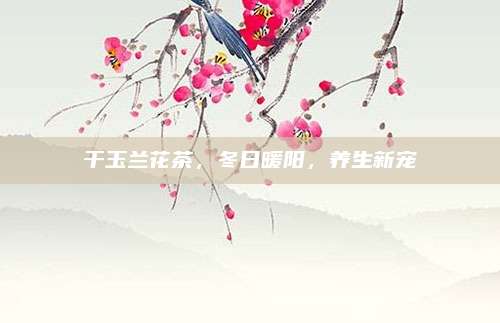 干玉兰花茶，冬日暖阳，养生新宠