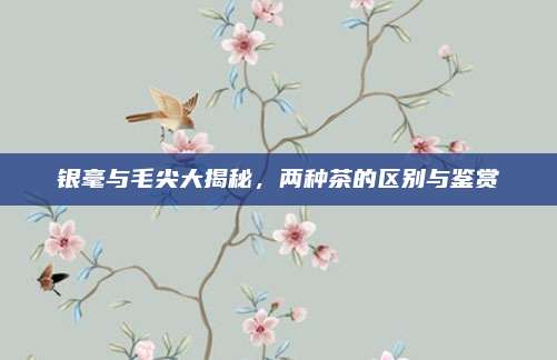 银毫与毛尖大揭秘，两种茶的区别与鉴赏