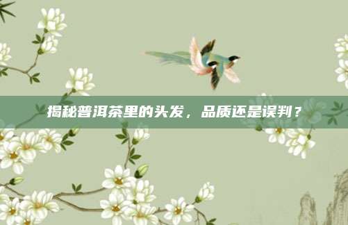 揭秘普洱茶里的头发，品质还是误判？