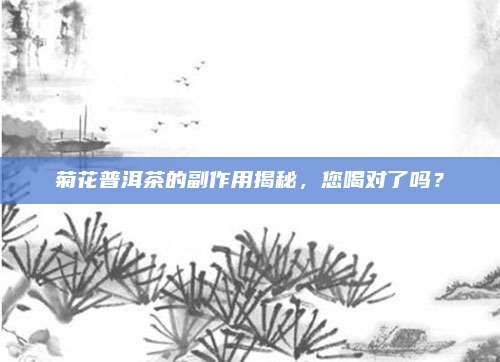 菊花普洱茶的副作用揭秘，您喝对了吗？