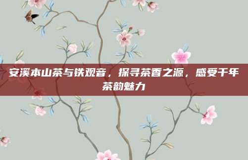 安溪本山茶与铁观音，探寻茶香之源，感受千年茶韵魅力